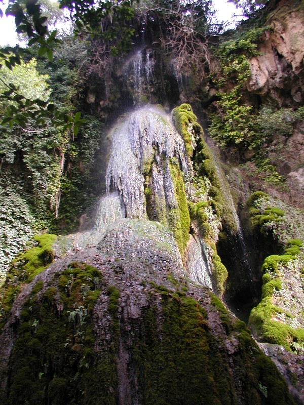 Laconi - Sardegna